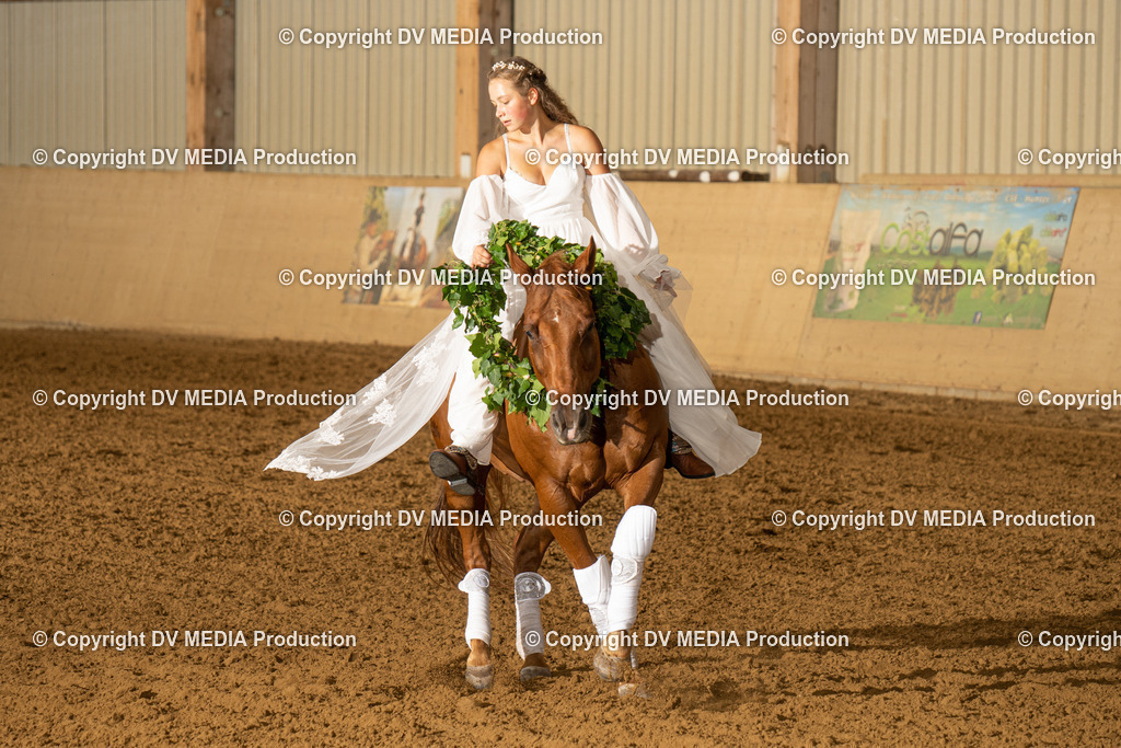 LAU01194 | dv-media-shop - Realisiert mit Pictrs.com