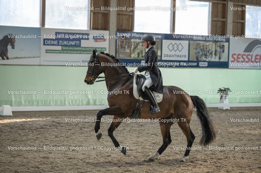 _D5A0707 | Emotionale Pferde- & People-Fotografie rund um Heidelberg, Leimen & Umgebung. Natürliche Fotos von Pferd, Mensch & Familie. Jetzt Termin sichern!