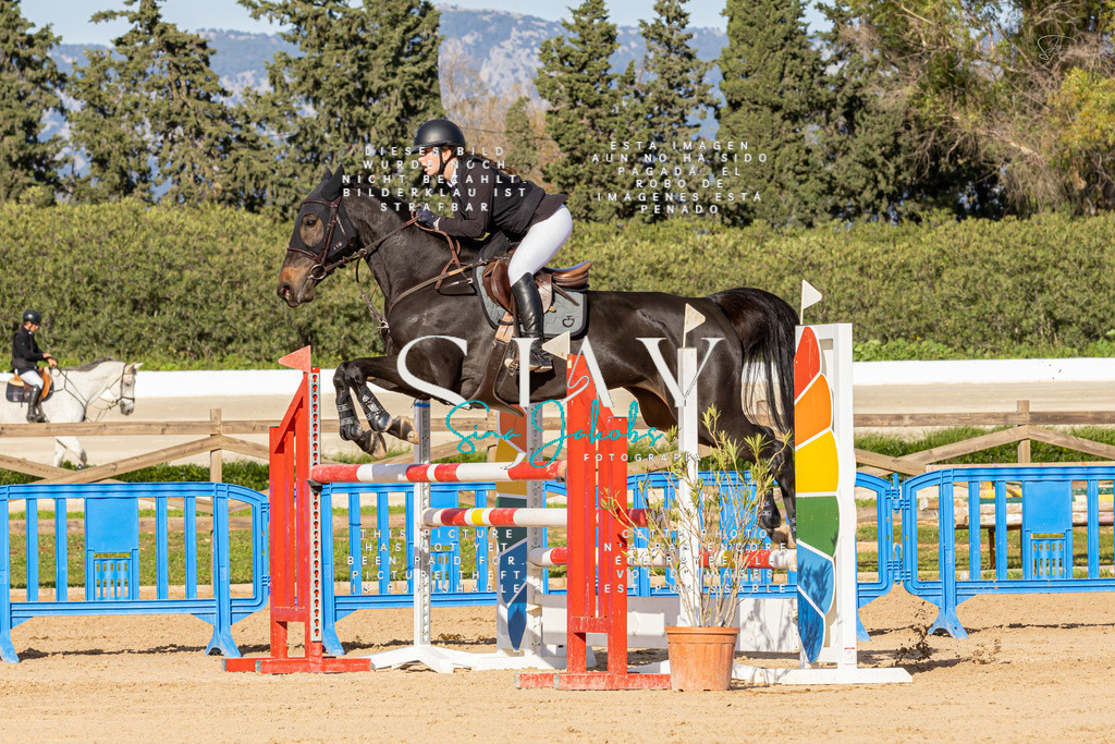 IMG_8028 | s-jay-photography - Realisiert mit Pictrs.com