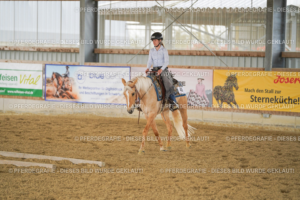 DSC03533 | Pferdegrafie