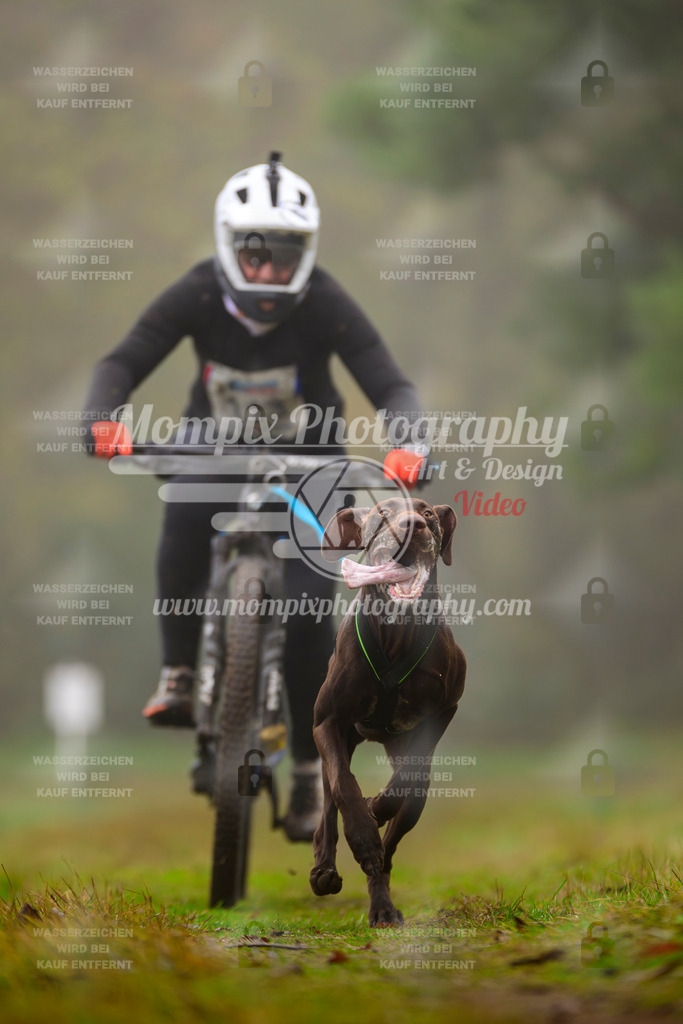 MompixPhotography_Bischwiller2025_Bike-44 | mompixphotography