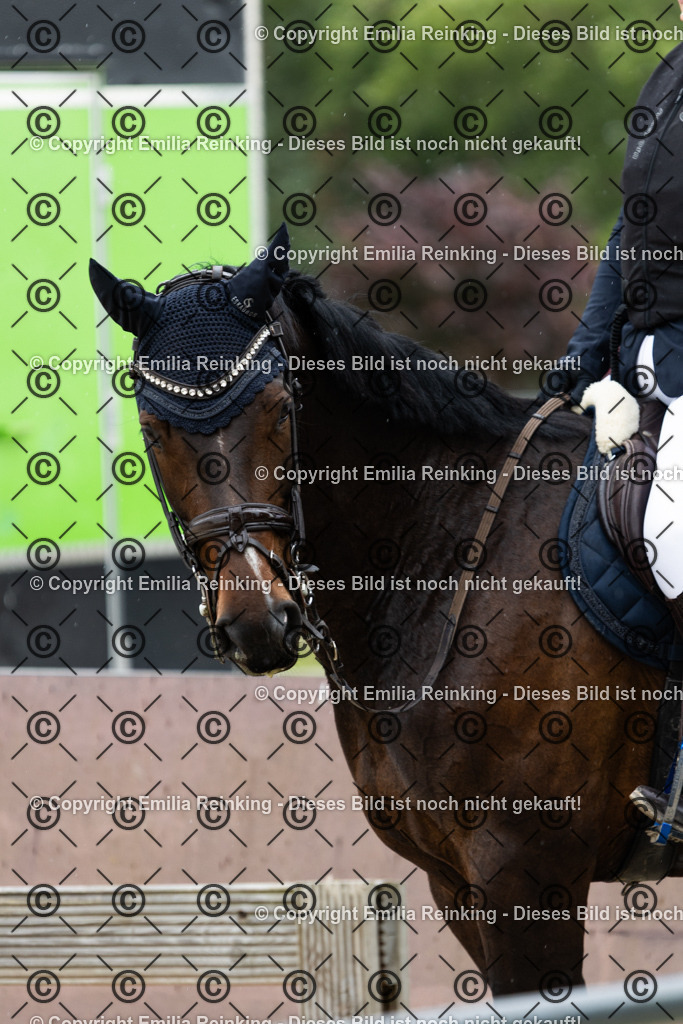 CL5A2335 | Emilia Reinking Fotografie - Realisiert mit Pictrs.com