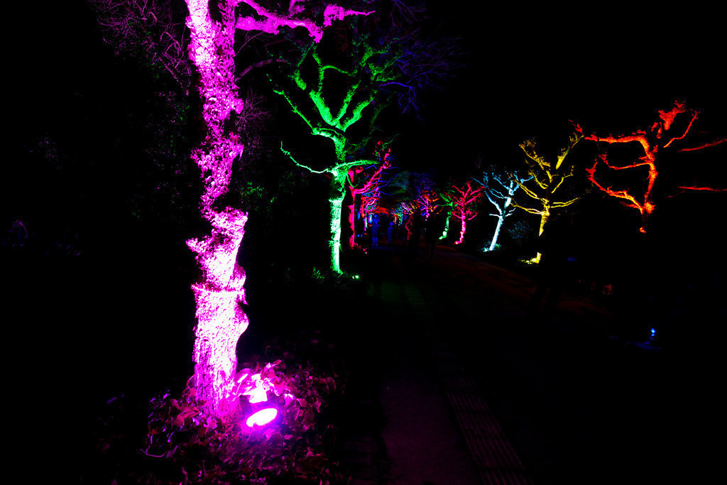 Parkleuchten_GrugaEssen24_29 | Bildergalerie von Sport-Ereignissen aber auch von weiteren spannenden Dingen - nicht nur vom Niederrhein. In Anlehnung an den bekannten Spruch von Hanns Dieter Hüsch heißt das Motto: "Niederrhein ist überall".  - Realisiert mit Pictrs.com