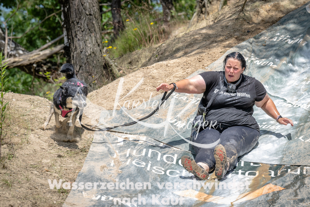 1419_ZZ94230 | kk-dogfotos