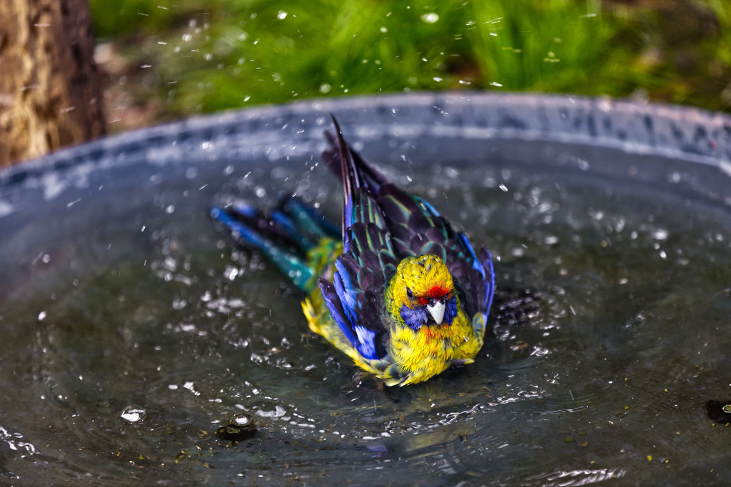 1H5A5688 | ansichtssache