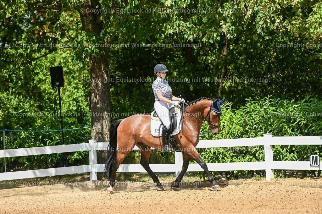 20230715_02_Dressurreiterprüfung Kl.L_0138 | equistock
