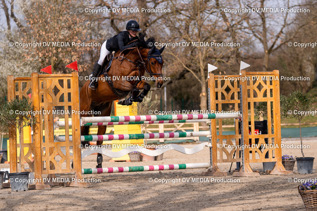 Kranichstein Tag 2-1535 | dv-media-shop - Realisiert mit Pictrs.com