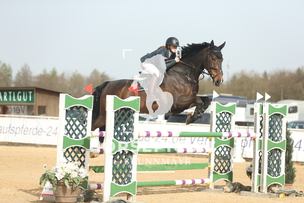 AS8V6430 | Willkommen bei Brunnmayr - Design & Fotografie – Ihrem Spezialisten für Reitturniere und Pferdeveranstaltungen in Oberösterreich, Salzburg und Bayern! Seit über 17 Jahren sind wir leidenschaftlich dabei.