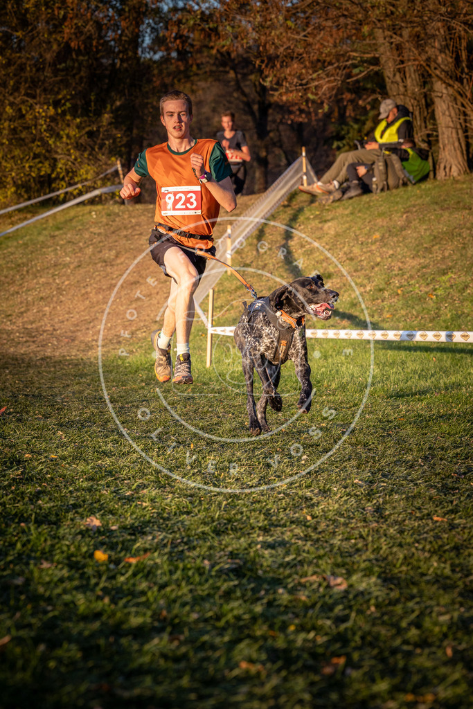 CaniXpix_0L8A1591 | Hundefotografie, Tierfotograf, Pfotenfotografie, Fotoshooting Hund, Hunde Portrait, Hundesport, Hundeportraits, Heideshooting, Hunde, Sportfotograf, Hundefotograf, Turnierhundsport, THS,  - Realisiert mit Pictrs.com