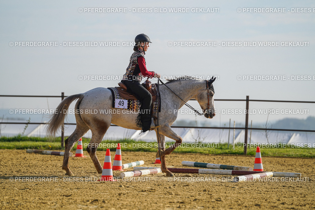 DSC00835 | Pferdegrafie