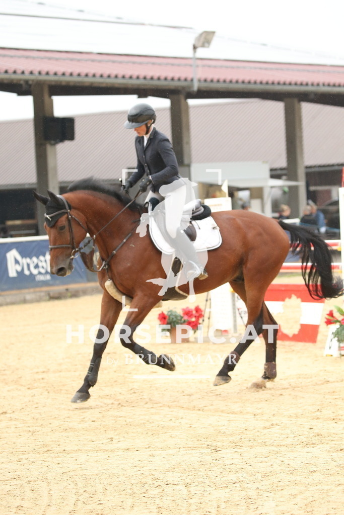 DL2Q6422 | Willkommen bei Brunnmayr - Design & Fotografie – Ihrem Spezialisten für Reitturniere und Pferdeveranstaltungen in Oberösterreich, Salzburg und Bayern! Seit über 17 Jahren sind wir leidenschaftlich dabei.