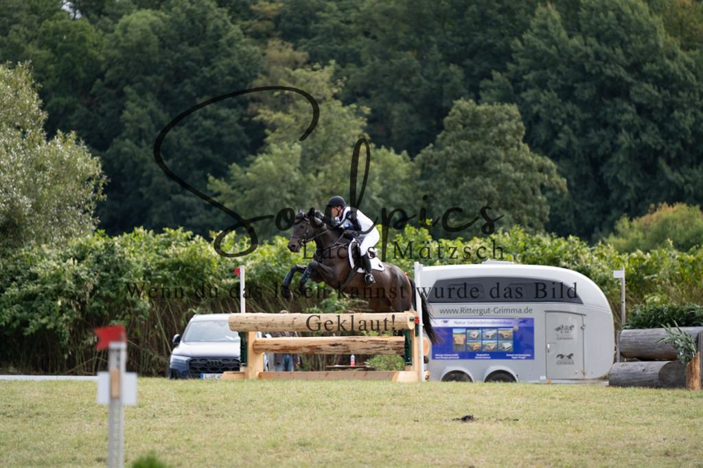 A7V00880 | Pferdefotograf