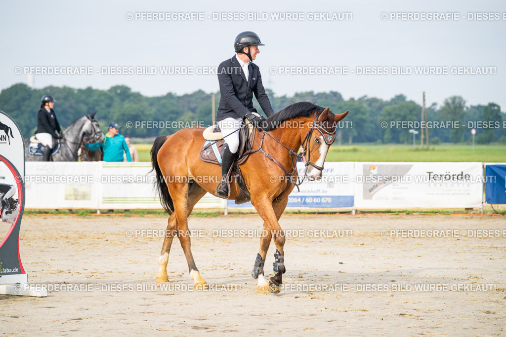 DSC08956 | Pferdegrafie