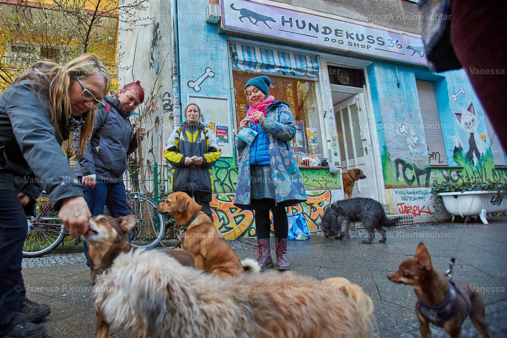 240323_Hundekuss36Bleibt_Hunderunde_42 | Vanessa Kleinwächter - Realisiert mit Pictrs.com