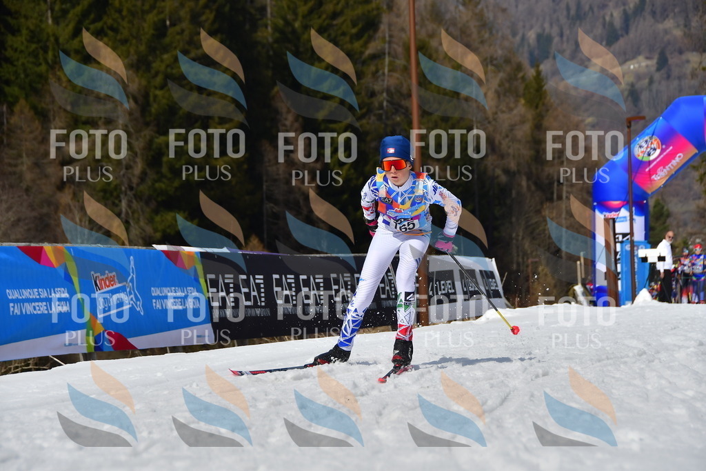 _DSC0496 | holidayphoto