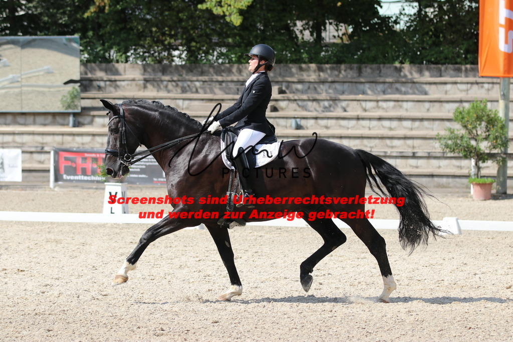 IMG_6903 | lmwpictures - Realisiert mit Pictrs.com