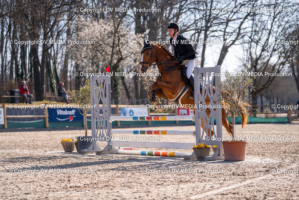 Kranichstein Tag 1-317 | dv-media-shop - Realisiert mit Pictrs.com