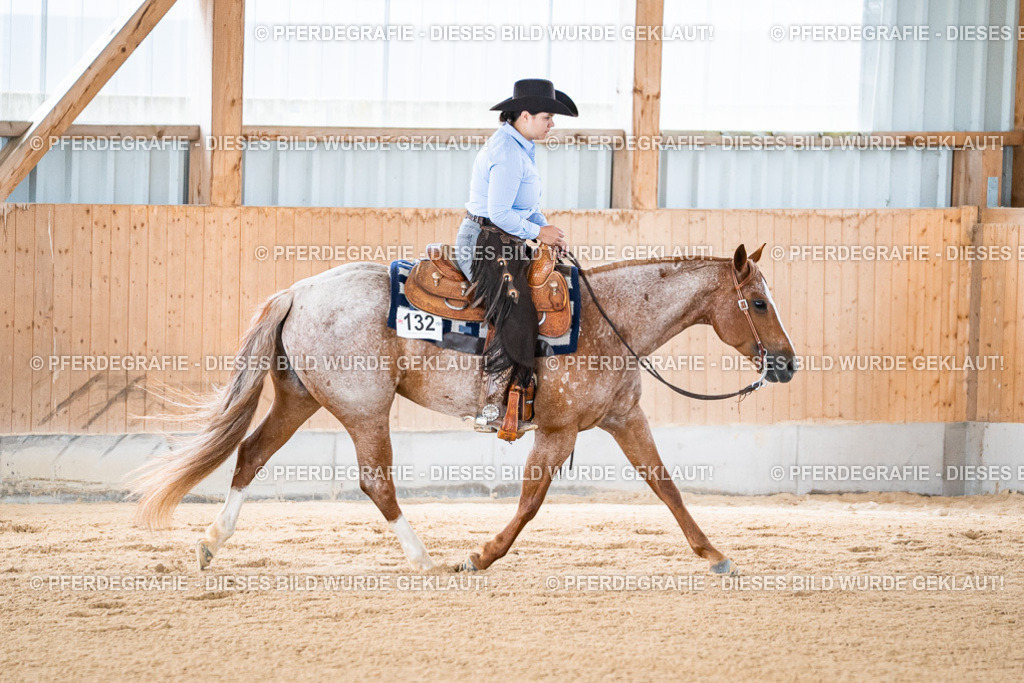 DSC08123 | Pferdegrafie