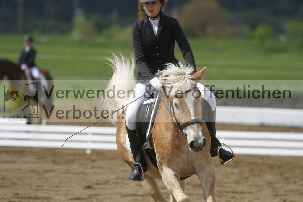 _MG_2797 | equestrian-live-com