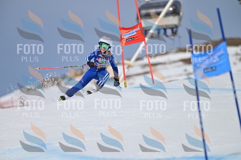 BGV_5898 | holidayphoto