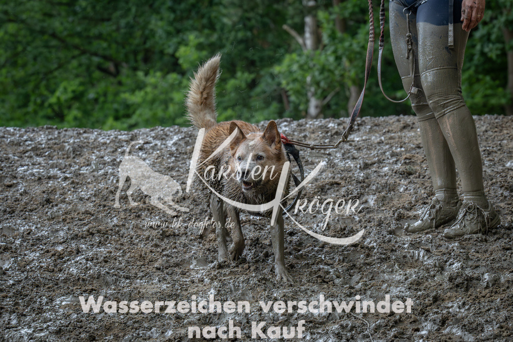 1412_ZZ91770-Verbessert-RR | kk-dogfotos