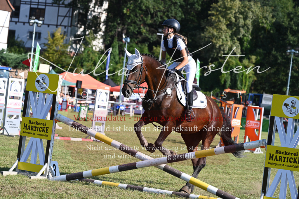 DSC_4931 | Pferde- und Turnierfotografie in Westsachsen. Pferdeportraits, Auftragszeichnungen und intuitive Kunst.
