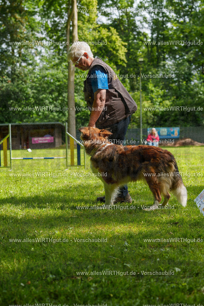 @allesWIRTHgut_Tierfotografie - www.allesWIRTHgut.de - 100615-7R508054 | Professionelle Tierfotografie in Mönchengladbach von Daniel Wirth (allesWIRTHgut). Liebevolle & natürliche Bilder von Hunden & Katzen für unvergessliche Erinnerungen.