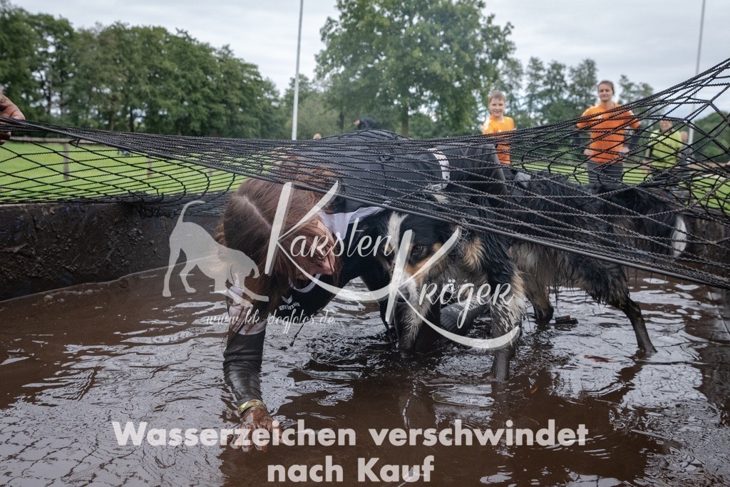_ZZ93383 | kk-dogfotos