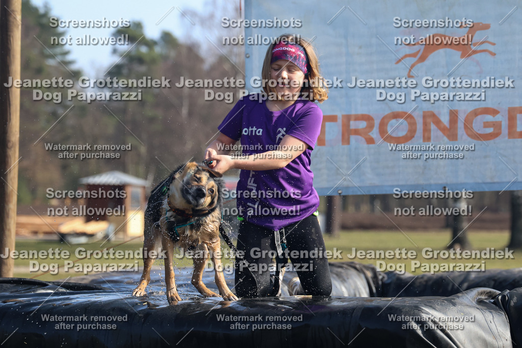 Dog Paparazzi - Strongdog North Mrz26-1345 | Dog Paparazzi Jeanette Grottendiek Fotografie & Videografie - Realisiert mit Pictrs.com