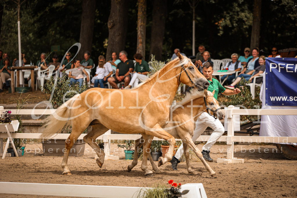 06.So00066 | Leoni Ertmer Photography - Realisiert mit Pictrs.com