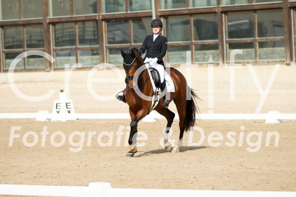 IMG_0881 | Creatify Fotografie