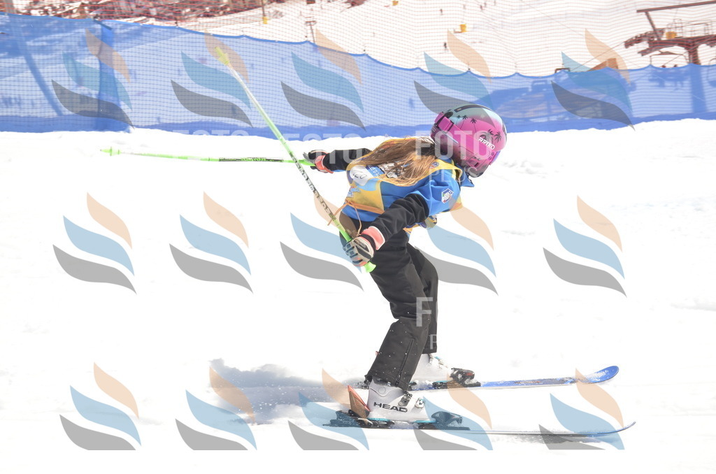 _ELE9566 | holidayphoto