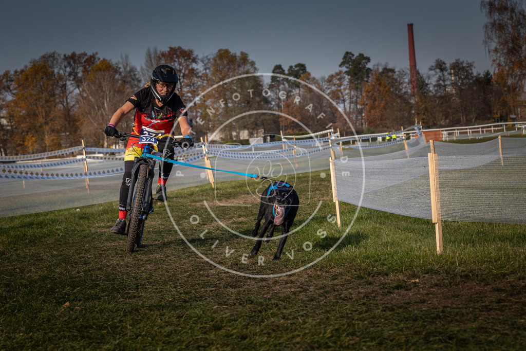 CaniXpix_0L8A7909 | Hundefotografie, Tierfotograf, Pfotenfotografie, Fotoshooting Hund, Hunde Portrait, Hundesport, Hundeportraits, Heideshooting, Hunde, Sportfotograf, Hundefotograf, Turnierhundsport, THS,  - Realisiert mit Pictrs.com