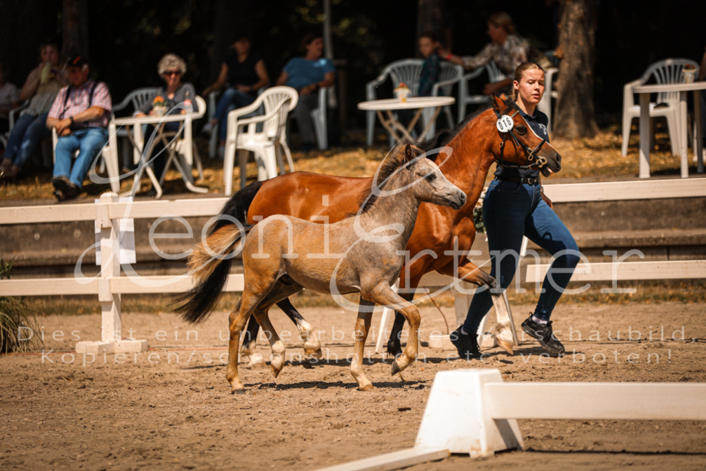 04.DoWP00027 | Leoni Ertmer Photography - Realisiert mit Pictrs.com