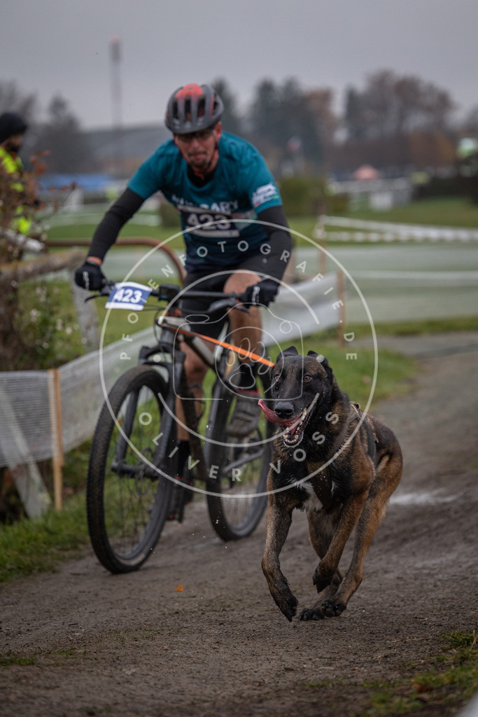 CaniXpix_0L8A1716 | Hundefotografie, Tierfotograf, Pfotenfotografie, Fotoshooting Hund, Hunde Portrait, Hundesport, Hundeportraits, Heideshooting, Hunde, Sportfotograf, Hundefotograf, Turnierhundsport, THS,  - Realisiert mit Pictrs.com