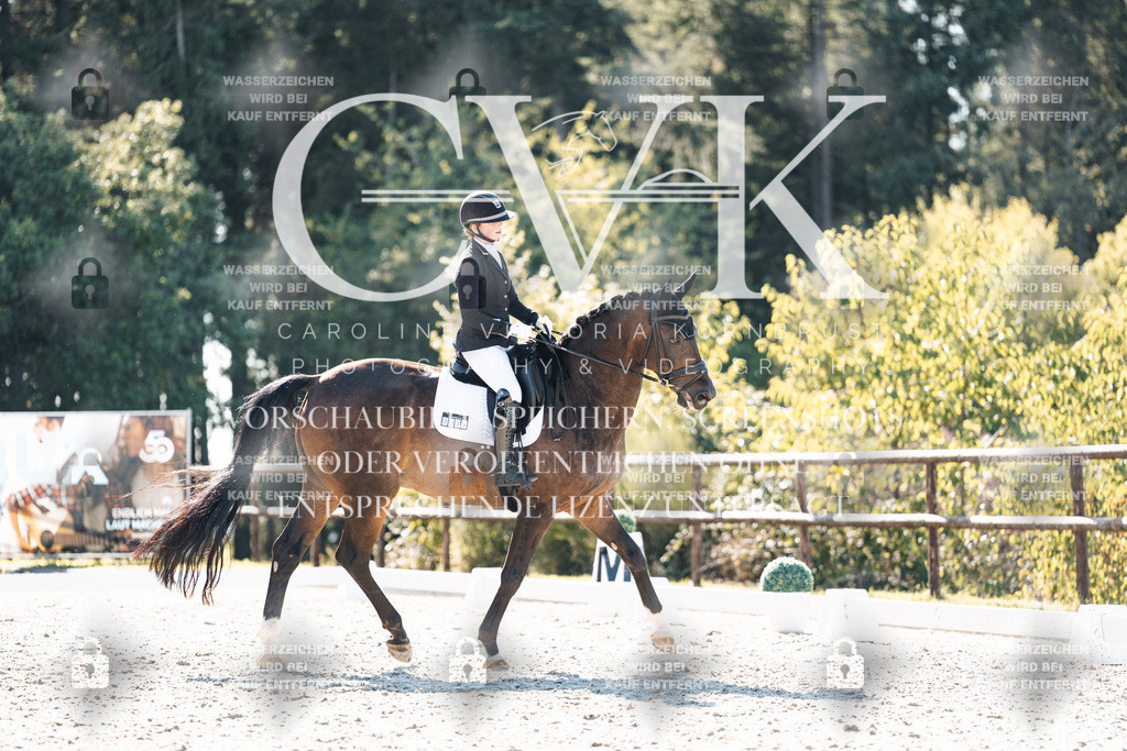CK905886 | Turnierfotografie Pferdefotografie Trier Rheinland-Pfalz Pferdesport Reitsport Tierfotografie Sportfotografie Pferdevideo Pferdevideografie Equestrianvideography equestrianphotography  - Realisiert mit Pictrs.com