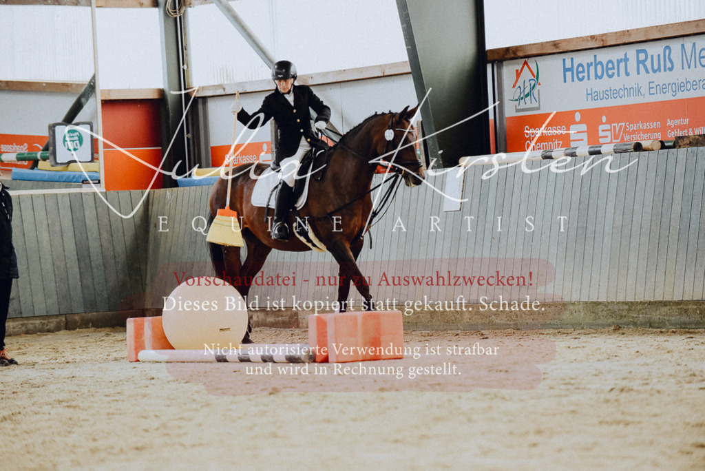 DSC_6784 | Pferde- und Turnierfotografie in Westsachsen. Pferdeportraits, Auftragszeichnungen und intuitive Kunst.