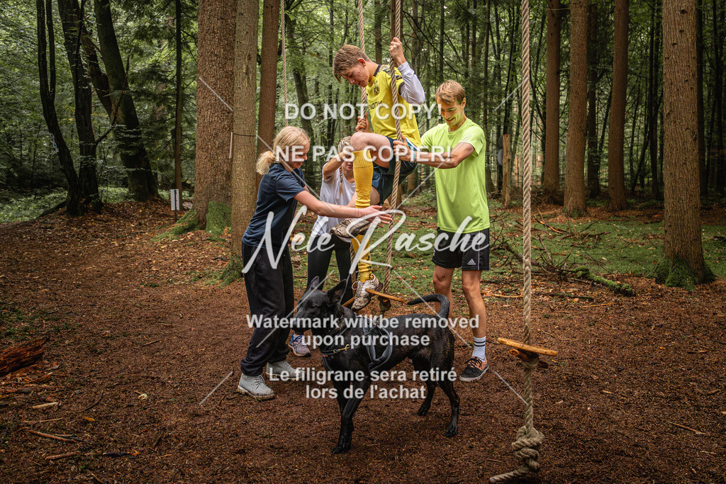 nelerasche_So0930-1030_80 | nelerasche