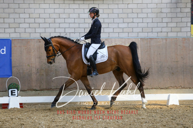 IMG_2601 | Turnierfotos kaufen im Webshop von Daniel Kuhl Photography – entdecke professionelle Reitsportfotos aus Turnieren & Events. Hochwertige Turnierbilder online bestellen & sichern. Jetzt Fotos von Reitsportturnieren kaufen!