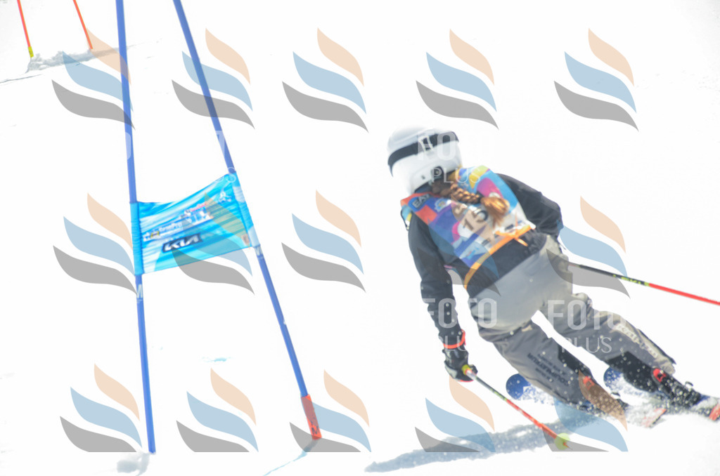 _ELE6334 | holidayphoto