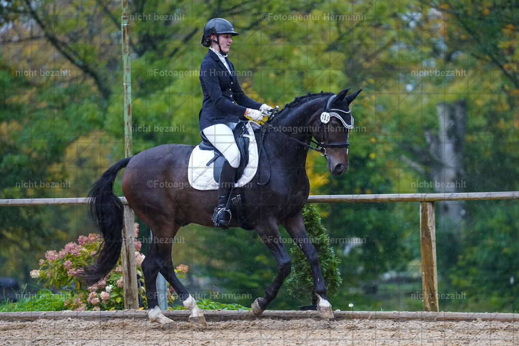 20221008-FAH02230 | Diessen am Ammersee, 2022, Dressur- und Springturnier, Reitsportbilder, Turnierfotografen Bayern, Pferdefotografen, Fotoagentur Herrmann, Turnierbilder