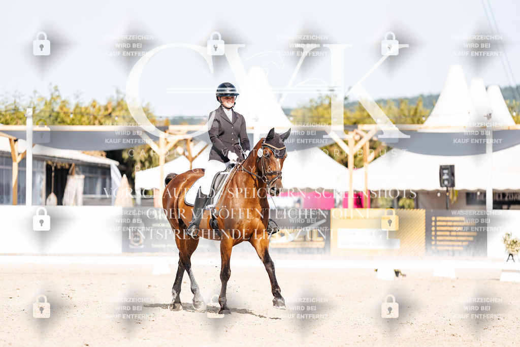 CK905682 | Turnierfotografie Pferdefotografie Trier Rheinland-Pfalz Pferdesport Reitsport Tierfotografie Sportfotografie Pferdevideo Pferdevideografie Equestrianvideography equestrianphotography  - Realisiert mit Pictrs.com