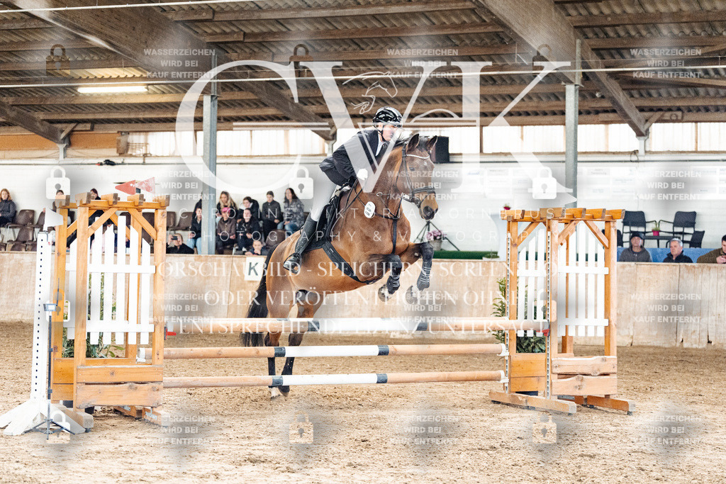 CK904778 | Turnierfotografie Pferdefotografie Trier Rheinland-Pfalz Pferdesport Reitsport Tierfotografie Sportfotografie Pferdevideo Pferdevideografie Equestrianvideography equestrianphotography  - Realisiert mit Pictrs.com
