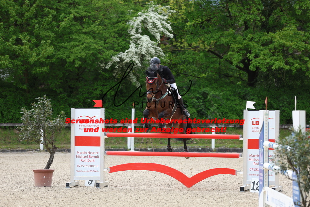 A40A4940 | lmwpictures - Realisiert mit Pictrs.com