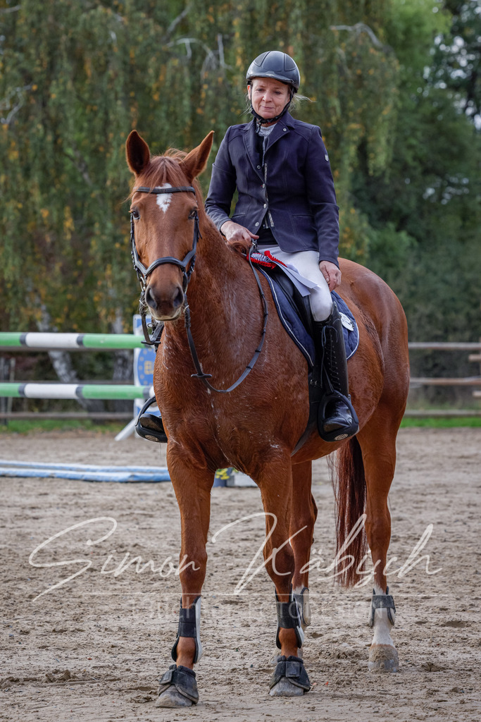 20251012-_3LI5320 | Tierfotografie Pferde, Hunde, Katzen, Haustiere.
Turnierfotografie Reitturniere, Reiten, Springreiten, Dressur in Hanau, dem Main-Kinzig-Kreis und dem Rhein-Main- Gebiet um Frankfurt