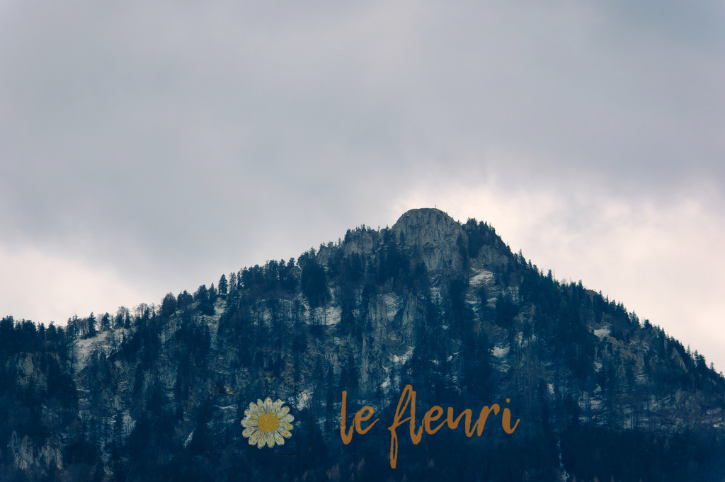 DSC_0028-NEF_DxO_DeepPRIME | Dies ist der Shop von Florian Blum - le fleuri. Langenthal, Bern, SchweizSie können hier meine oder ihre eigenen Fotos als Fotoprodukte kaufen. Tassen, Schlüsselanhänger, Taschen etc. können Sie hier gestalten.  - Realisiert mit Pictrs.com