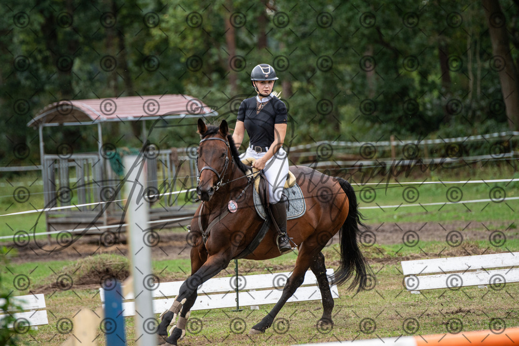 SHT_7580 | andre_photographic