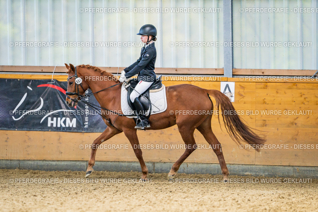 DSC03318 | Pferdegrafie