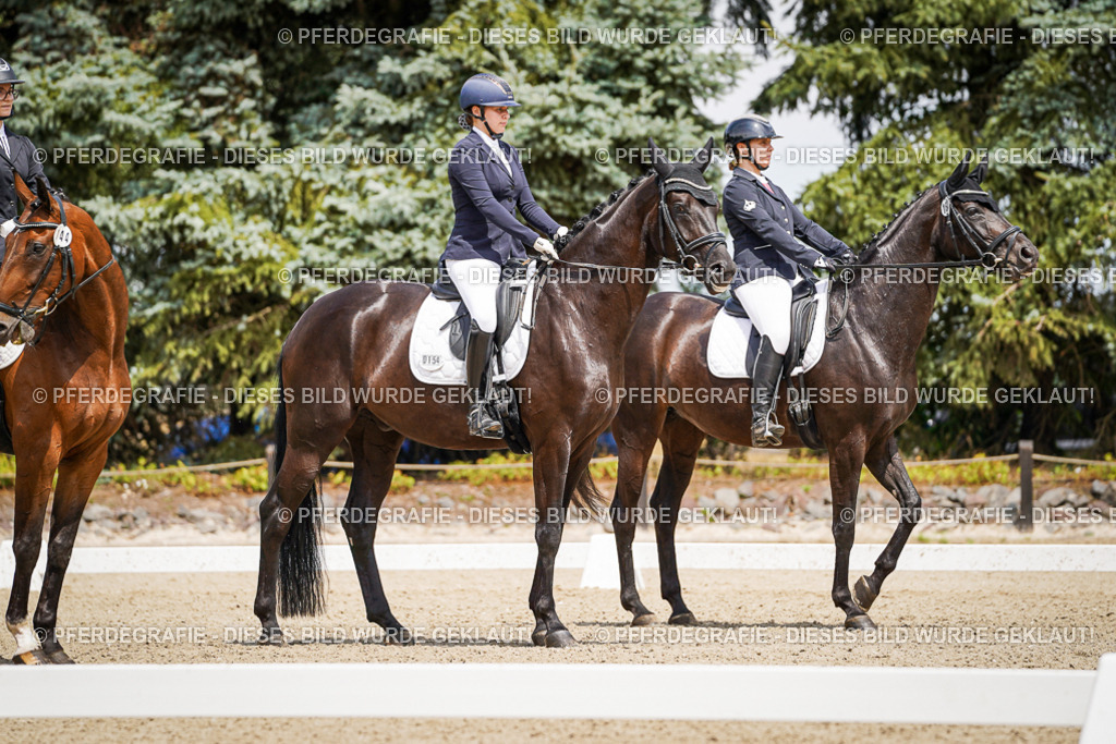 DSC02605 | Pferdegrafie