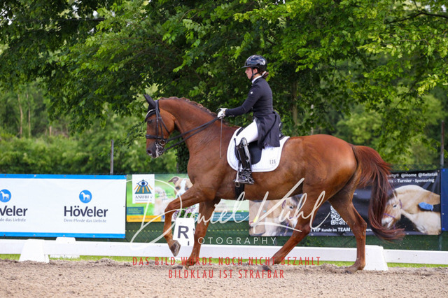DKP41605 | Turnierfotos kaufen im Webshop von Daniel Kuhl Photography – entdecke professionelle Reitsportfotos aus Turnieren & Events. Hochwertige Turnierbilder online bestellen & sichern. Jetzt Fotos von Reitsportturnieren kaufen!